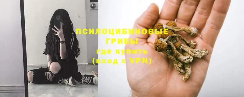 Псилоцибиновые грибы GOLDEN TEACHER  Сатка 